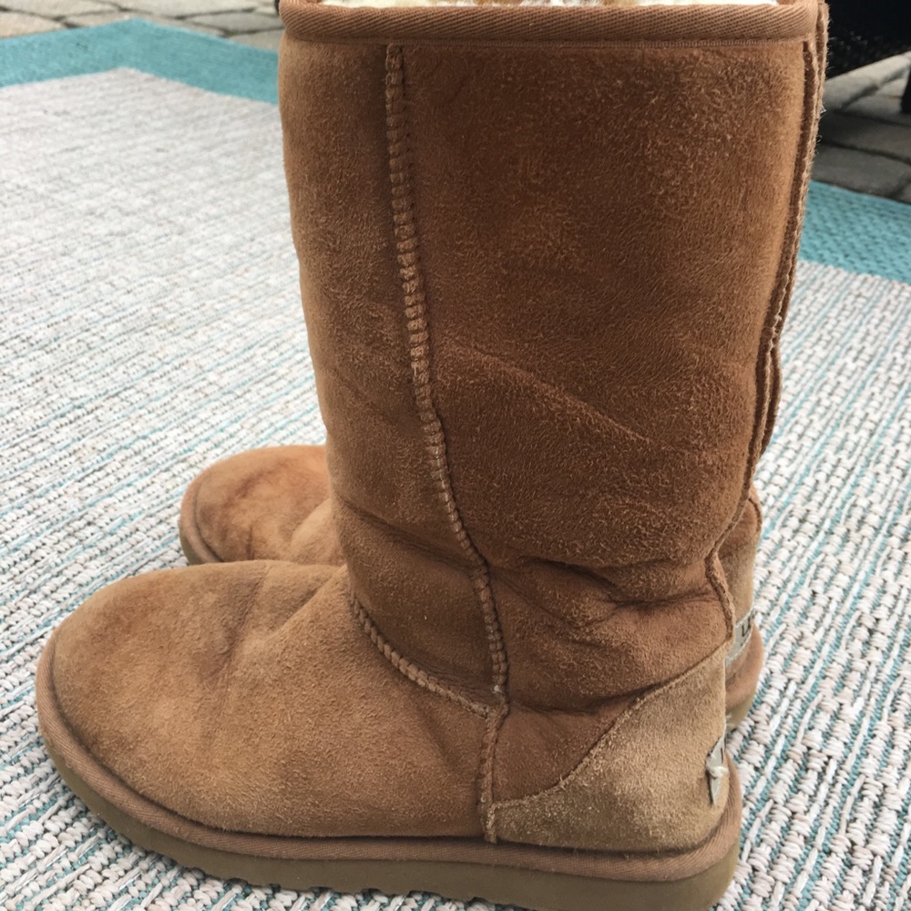 Women's Classic Tall Ugg Boot in Chestnut