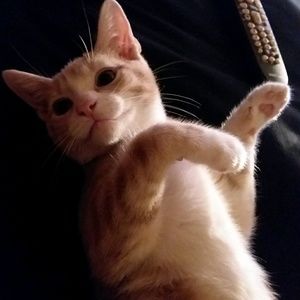 Meet your Posher, Lydia