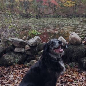 Meet your Posher, Ian