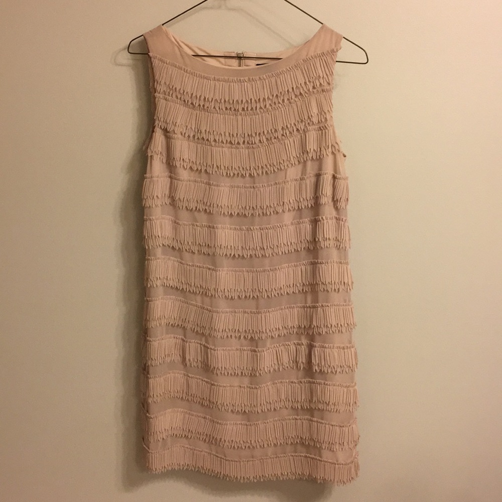 Ann Taylor Blush Ruffle Dress