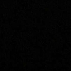 Meet your Posher, Lexi