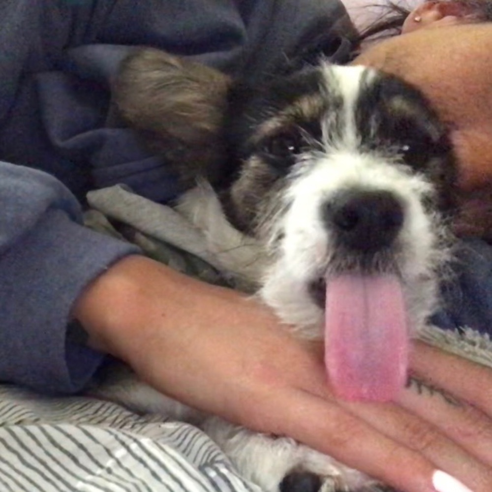 Meet your Posher, Brenda