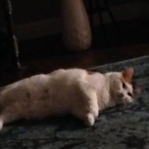 Meet your Posher, Kristin