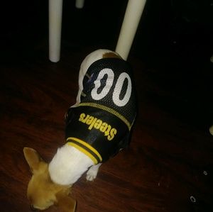 Meet your Posher, Henrietta