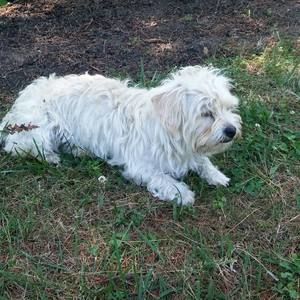 Meet your Posher, Reyna