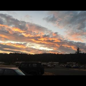 Meet your Posher, Alisha