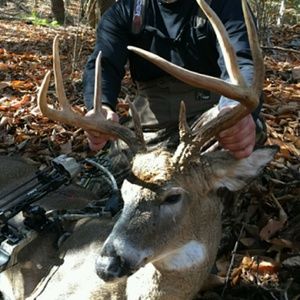 Meet your Posher, Brad