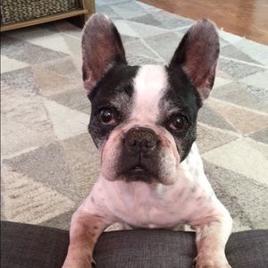 Meet your Posher, Nichole