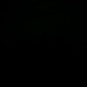 Meet your Posher, Latasha