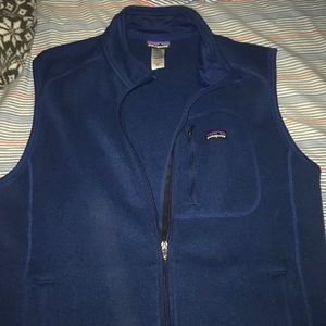 Men's Blue Patagonia Synchilla Vest