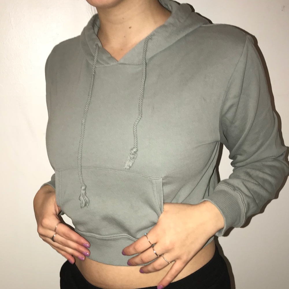 Cropped Brandy Melville hoodie