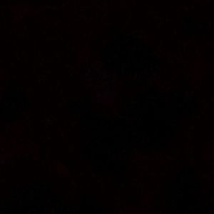 Meet your Posher, Diego