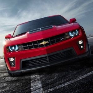 Meet your Posher, Martha