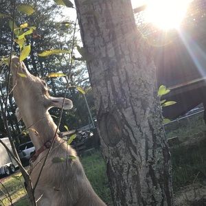 Meet your Posher, Caylin