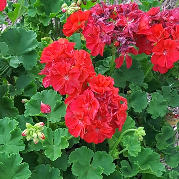 Meet your Posher, AM - Picture 2 of 3