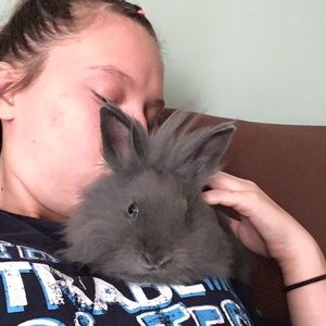 Meet your Posher, Jillian