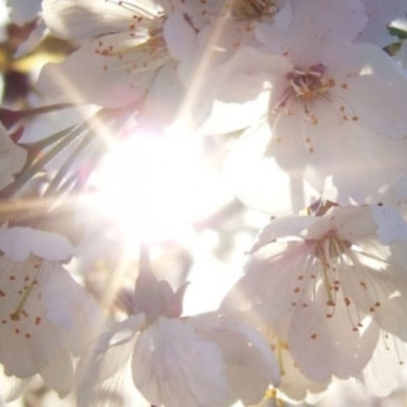 Ae and Af 0 girl, Vivian - Picture 2 of 5