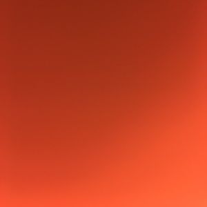 Meet your Posher, Alani