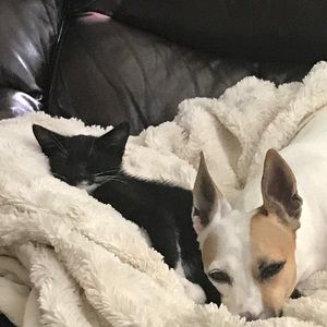 Meet your Posher, Kyle