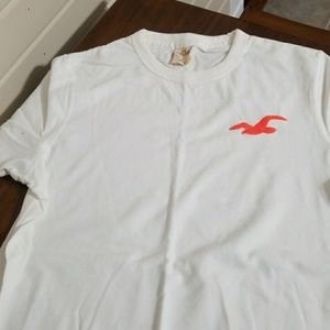 Mens Hollister with orange embroidery bird