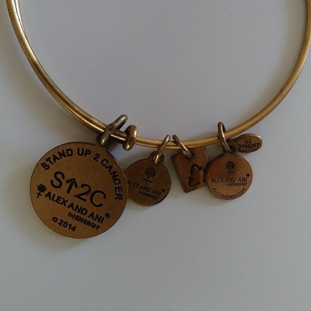 Alex and Ani Stand Up to Cancer bracelet