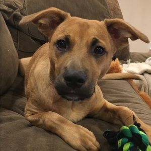 Meet your Posher, Ryan