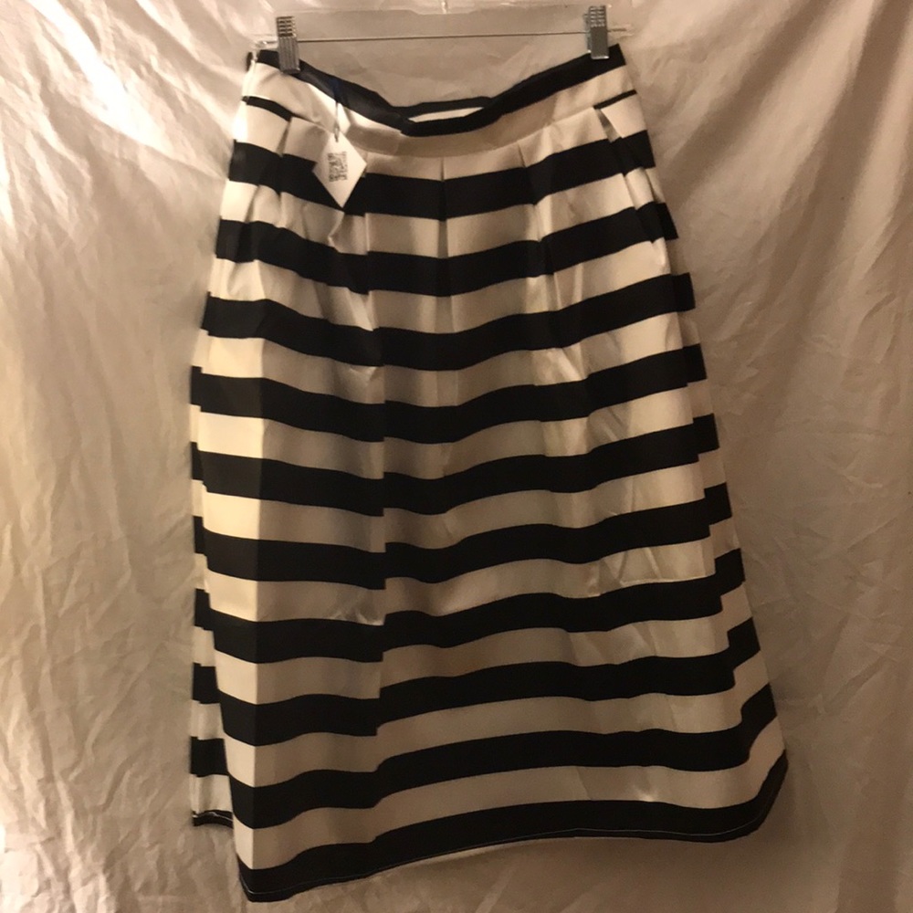 Chicwish Midi Skirt