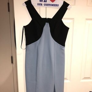 Top shop dress