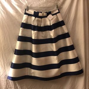Chicwish Midi Skirt
