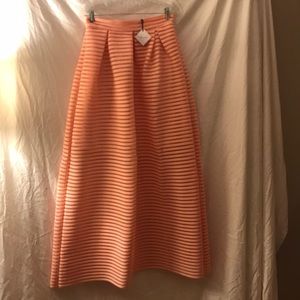 Chicwish Maxi Skirt