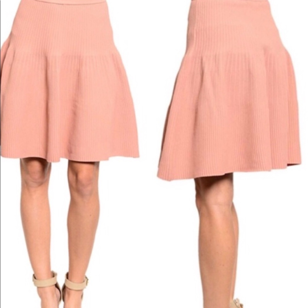 Ark & Co Blush Pleated Skirt NWT