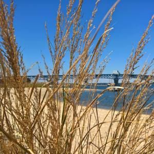 Meet your Posher, Kellie