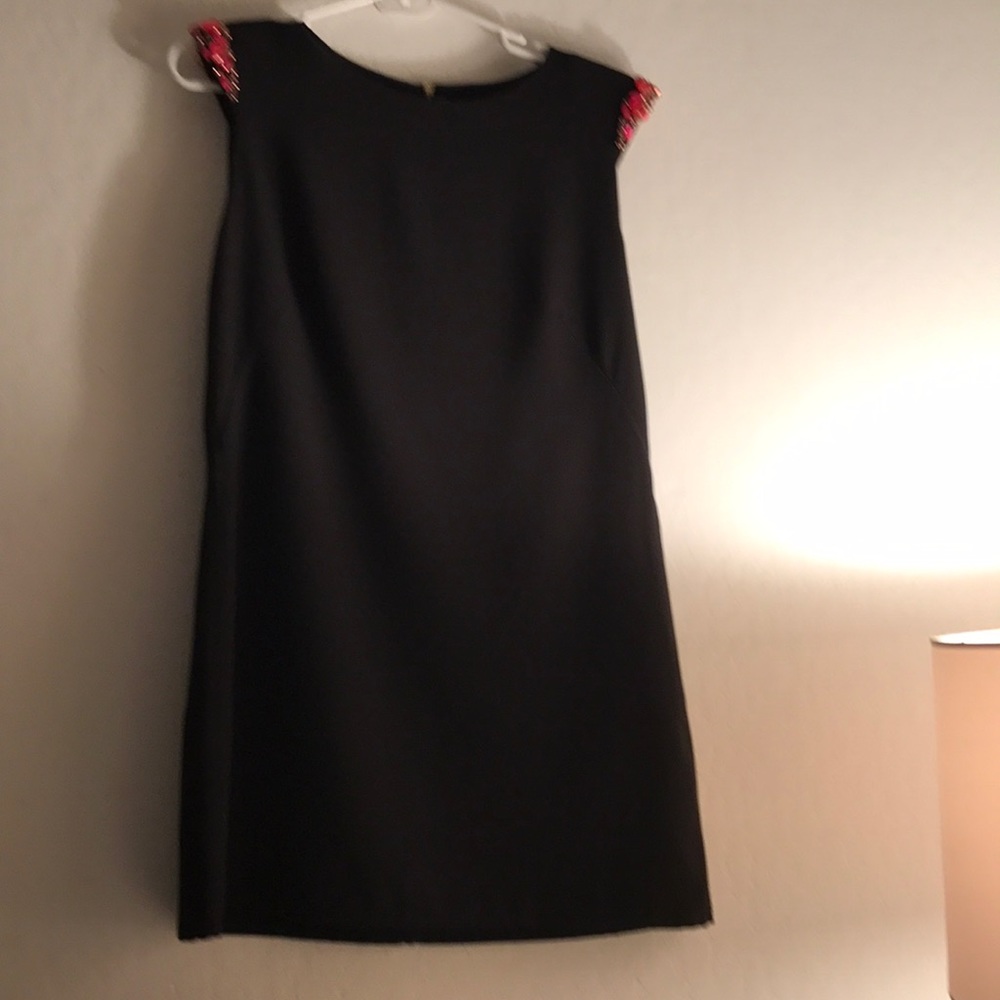 Ted Baker dress