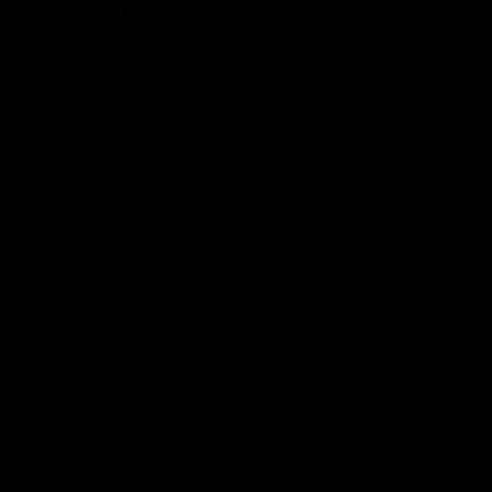 Meet your Posher, Romy