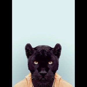 Meet your Posher, Carlos