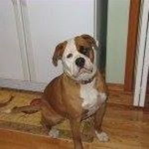 Meet your Posher, Kip