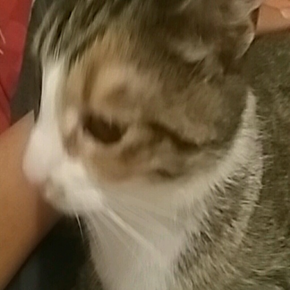 Meet your Posher, Alexis - Picture 1 of 1