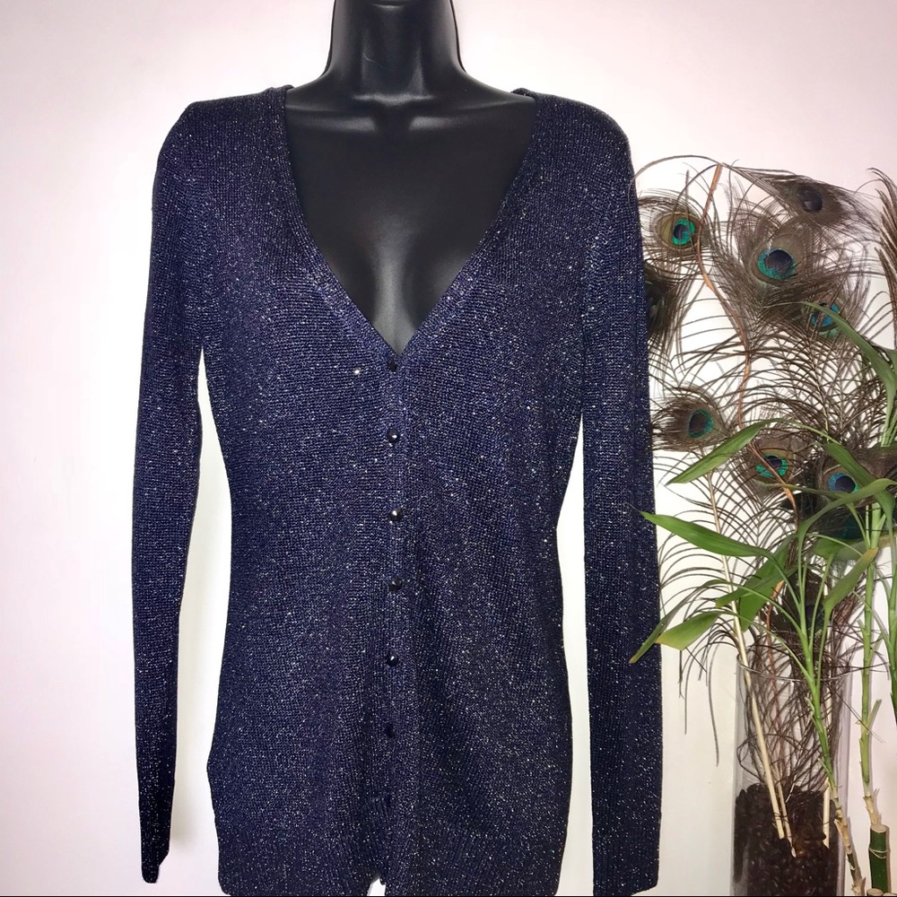 Ann Taylor Blue Silver Shimmer Cardigan