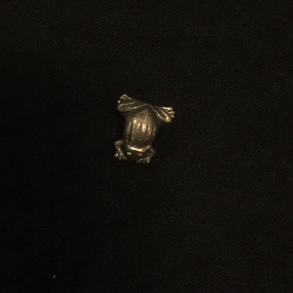 Unsigned frog charm fits pandora