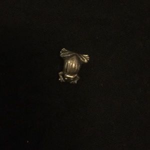 Unsigned frog charm fits pandora