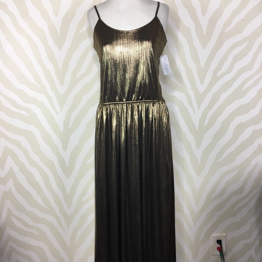 NWT Floor length Gold Dress