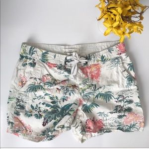 Palm tree shorts