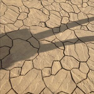 Meet your Posher, Lydia