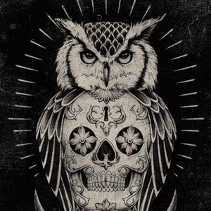 Meet your Posher, Genesis