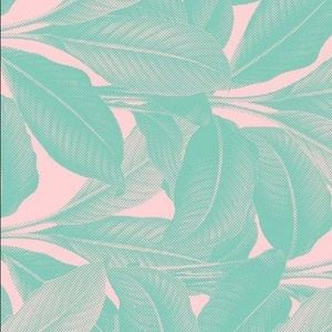 Meet your Posher, Alli