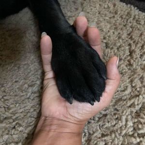 Meet your Posher, Sharon