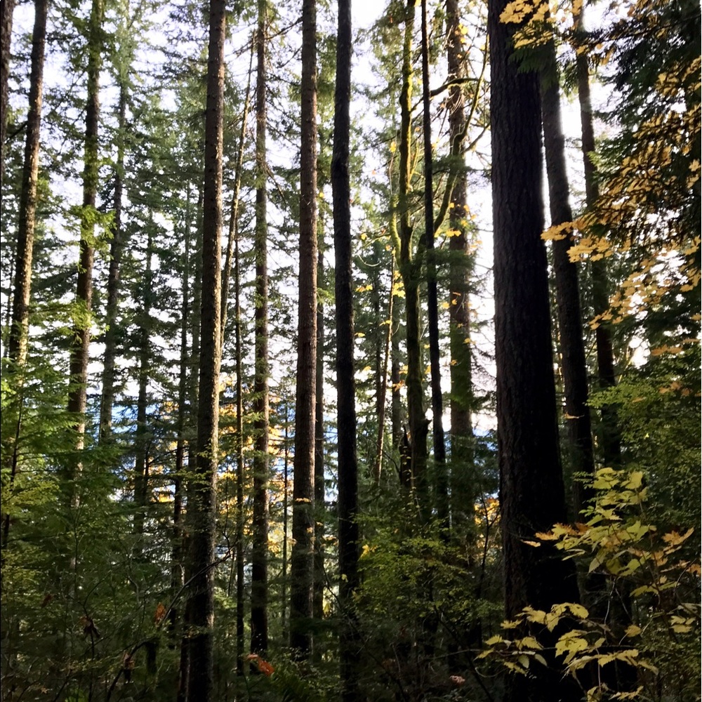 Meet your Posher, Lena