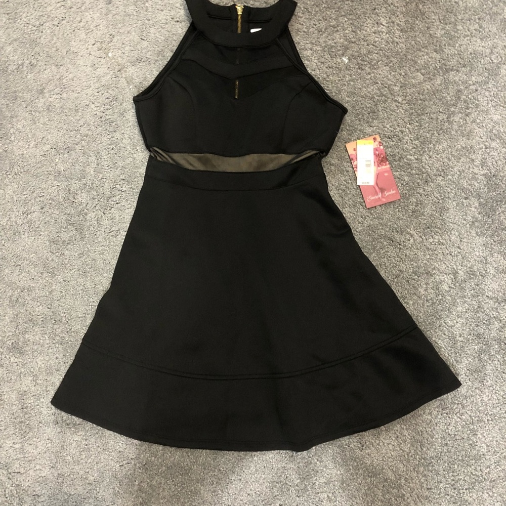Black Meshed Skater Dress