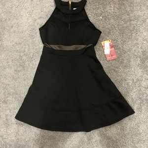 Black Meshed Skater Dress