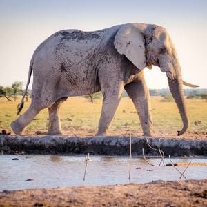 Meet your Posher, Denver